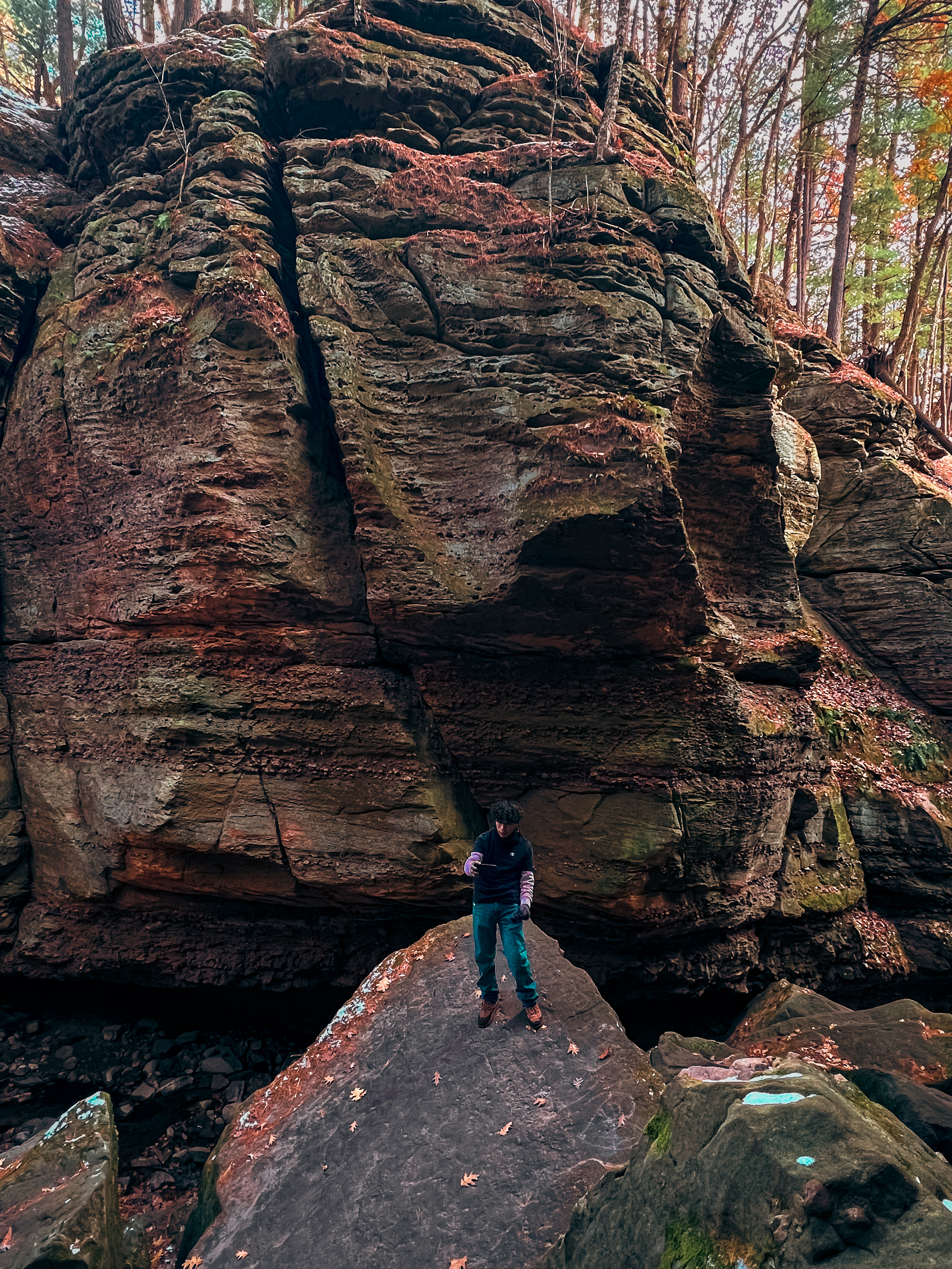 Person standing on rock with tall canyon wall behind